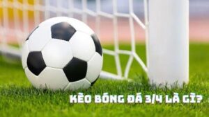 Kèo chấp 3/4 đang là hình thức cá cược xu hướng